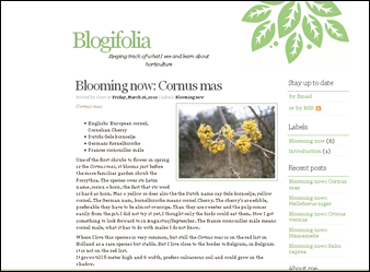 Blogifolia screenshot